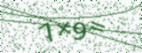 CAPTCHA security code